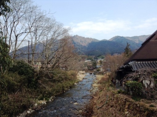 大原　緑の風景１